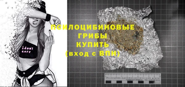 крисы Абаза