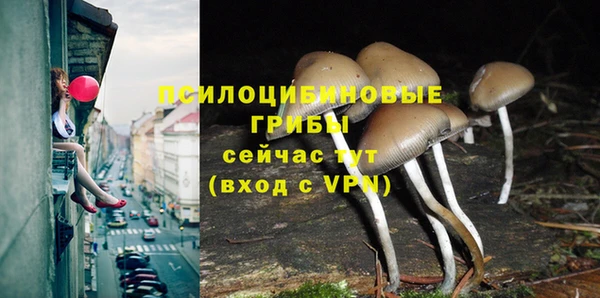 крисы Абаза