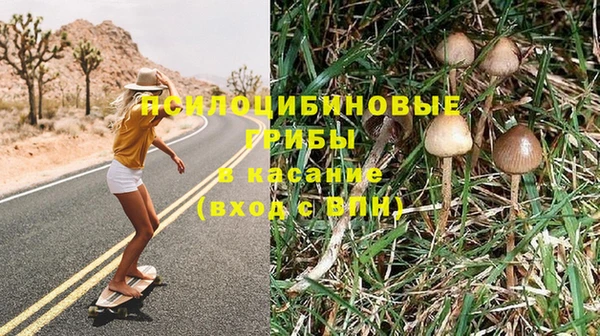 дмт Абинск