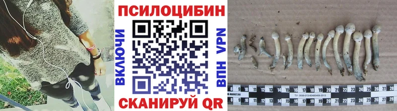 Псилоцибиновые грибы ЛСД  как найти закладки  Алексеевка 